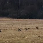 Lubiewo Appartamento *