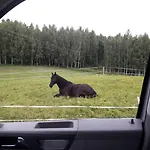 Lubiewo Mikołajki