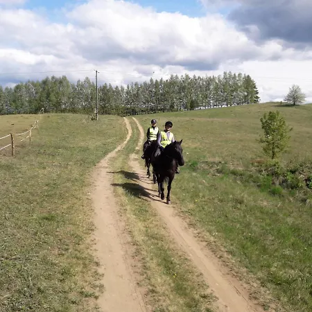 Lubiewo * Mikołajki